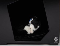 /album/galeria-de-fotos-catbox/box-1001-1-jpg/